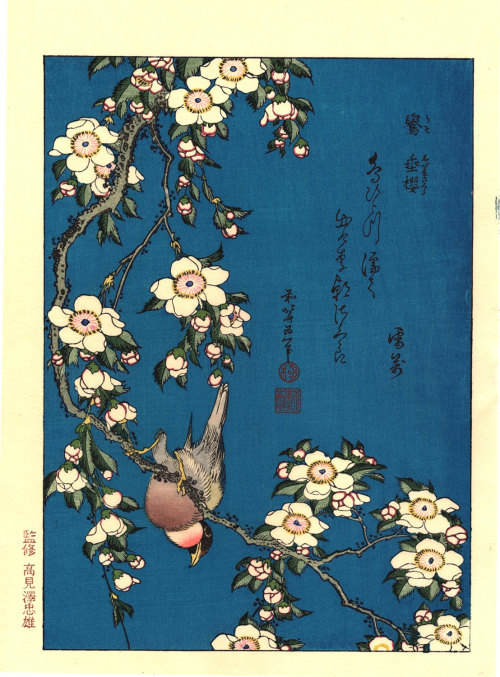 ukiyoesalon: Japanese Ukiyo-e Woodblock print, Katsushika Hokusai, “A Bullfinch and A Dropping