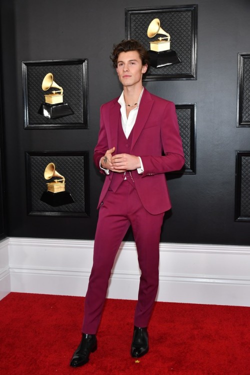 JANUARY 26: [MORE] Shawn Mendes attends the 62nd Annual GRAMMY Awards at Staples Center in Los Angel