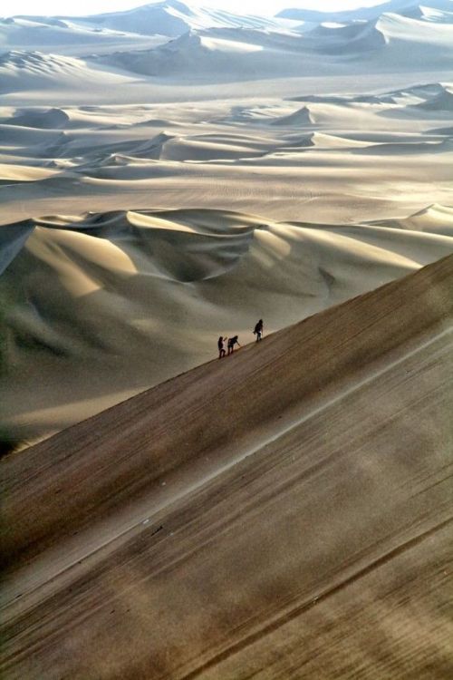 bojrk:Perú: Nazca desert, Huacachina, Ica