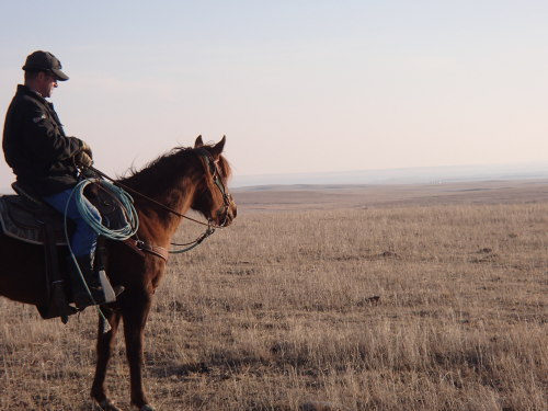 My Friday night date, riding the big pasture looking for new calves.  Life in South Dakota.