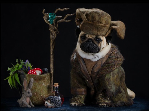 fuckyeahvikingsandcelts:  mamasam:  verycutegirl:  zeeday:  i was trying to find the two pugs that featured in Desolation of Smaug so searched “pugs in The Hobbit” oh boy did i get more than i bargained for  DOG WIZARD  THAT’S WHAT PILBO PUGGINS
