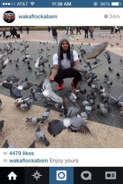 universoullove:  eye-yo:  the pigeons they flockin   This makes me so fucking happy 