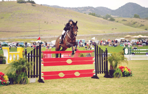 grand prix at the blenheim spring classic III, 2013.