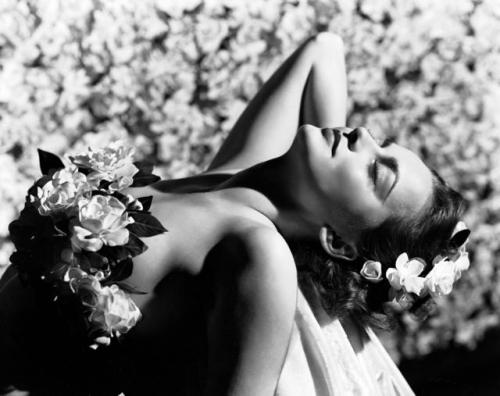 vintage-hotties: Olivia de Havilland in “My Cousin Rachel” (1952)