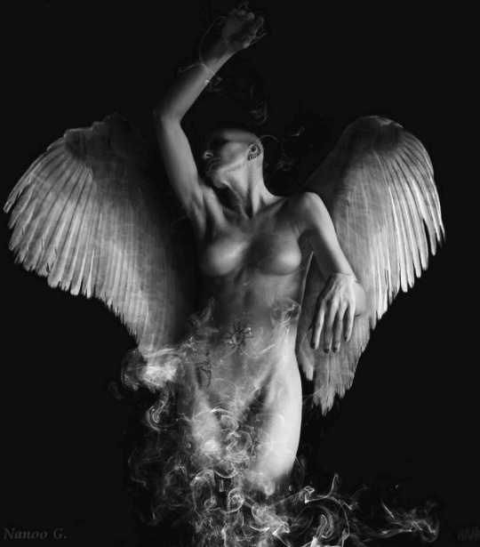 lenoirmevasibien:   “Les anges de la désolationont un merveilleux sourired'anges