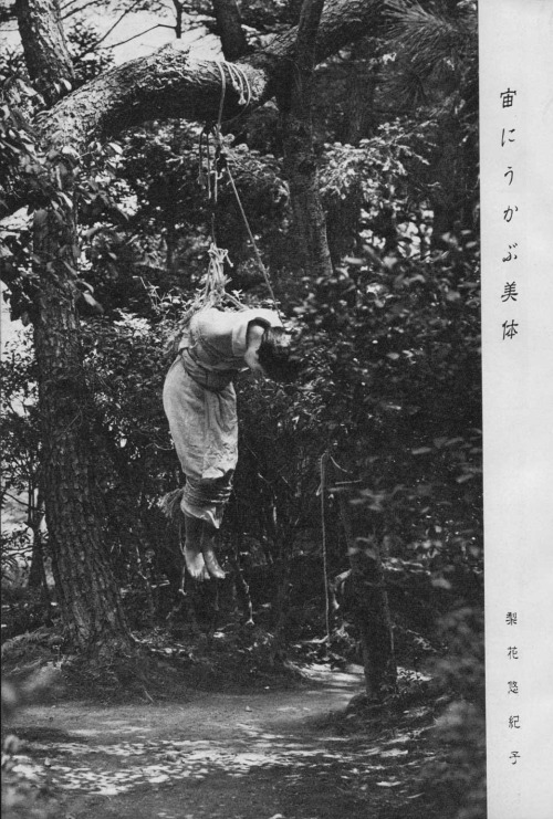 縄と物