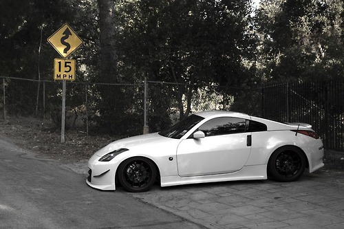 Nice Whips , Fly Chicks, All That Cuzz' Cash Rules