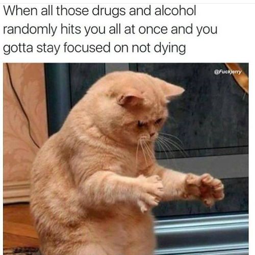 locokrallbooii - Music Weed and all other magical things