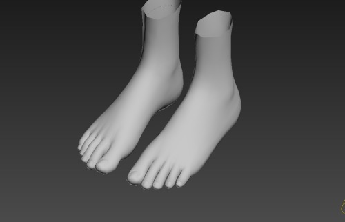 The new foot model has been made !  