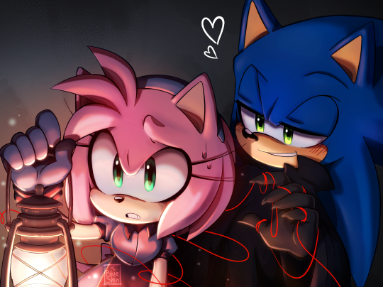 Sonamy Boom  Sonic and amy, Sonic boom, Hedgehog art