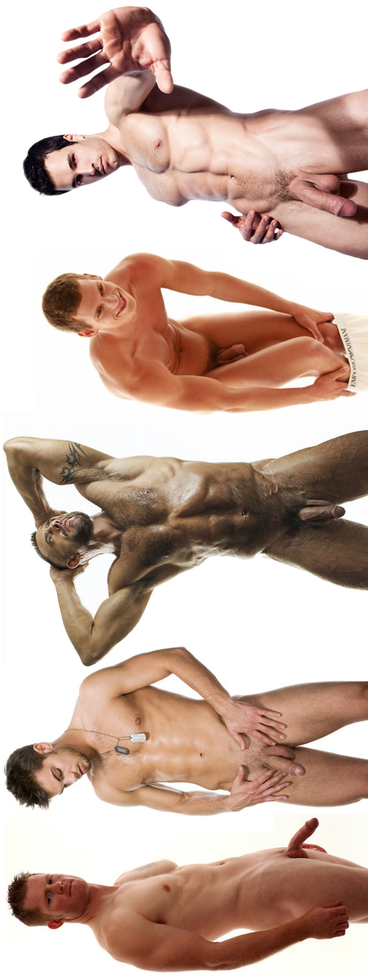 the amazing male shape