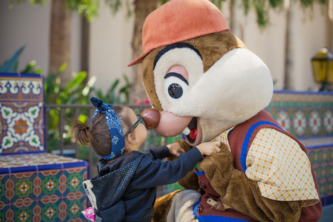 kidsraisingkids:  Today was one of Ashtyn’s most memorable visits to Disneyland.
