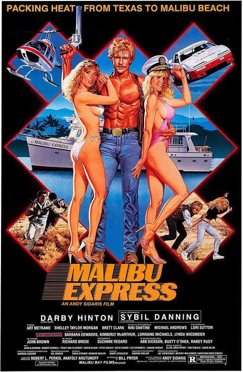 Pulpsandcomics2:  Malibu Express  (1985)Hard Ticket To Hawaii (1987)Picasso Trigger