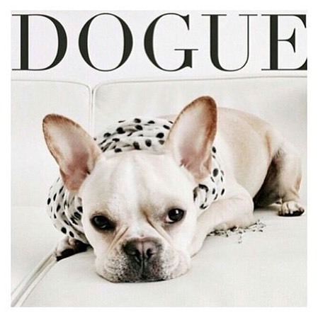 #dogue #fun #bloggeuse #blogger #mode #modeuse #fashionista #fashion #lifestyle #instafun #vogue #fa