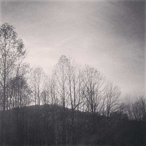 tumblr photo yo-its-joshad 0