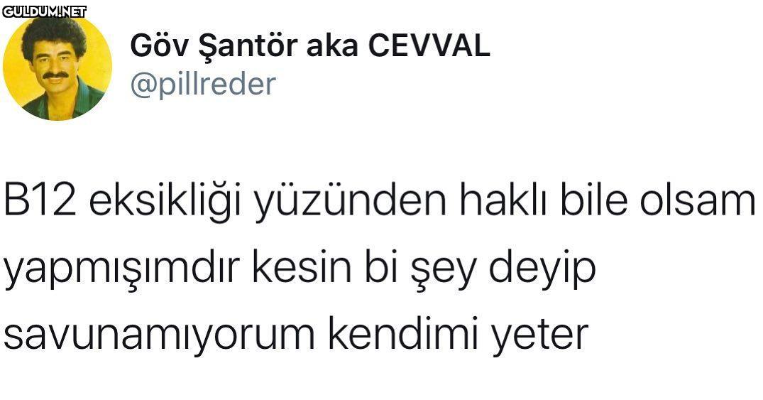 Göv Şantör aka CEVVAL...