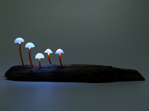 indirispeaks:mymodernmet:Creative LED Lights Mimicking Mushrooms Turn Any Room into a Magical Forest