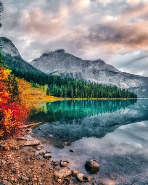 renamonkalou:    Fall colours around Emerald | Sameer.Design  Emerald Lake - British Colombia