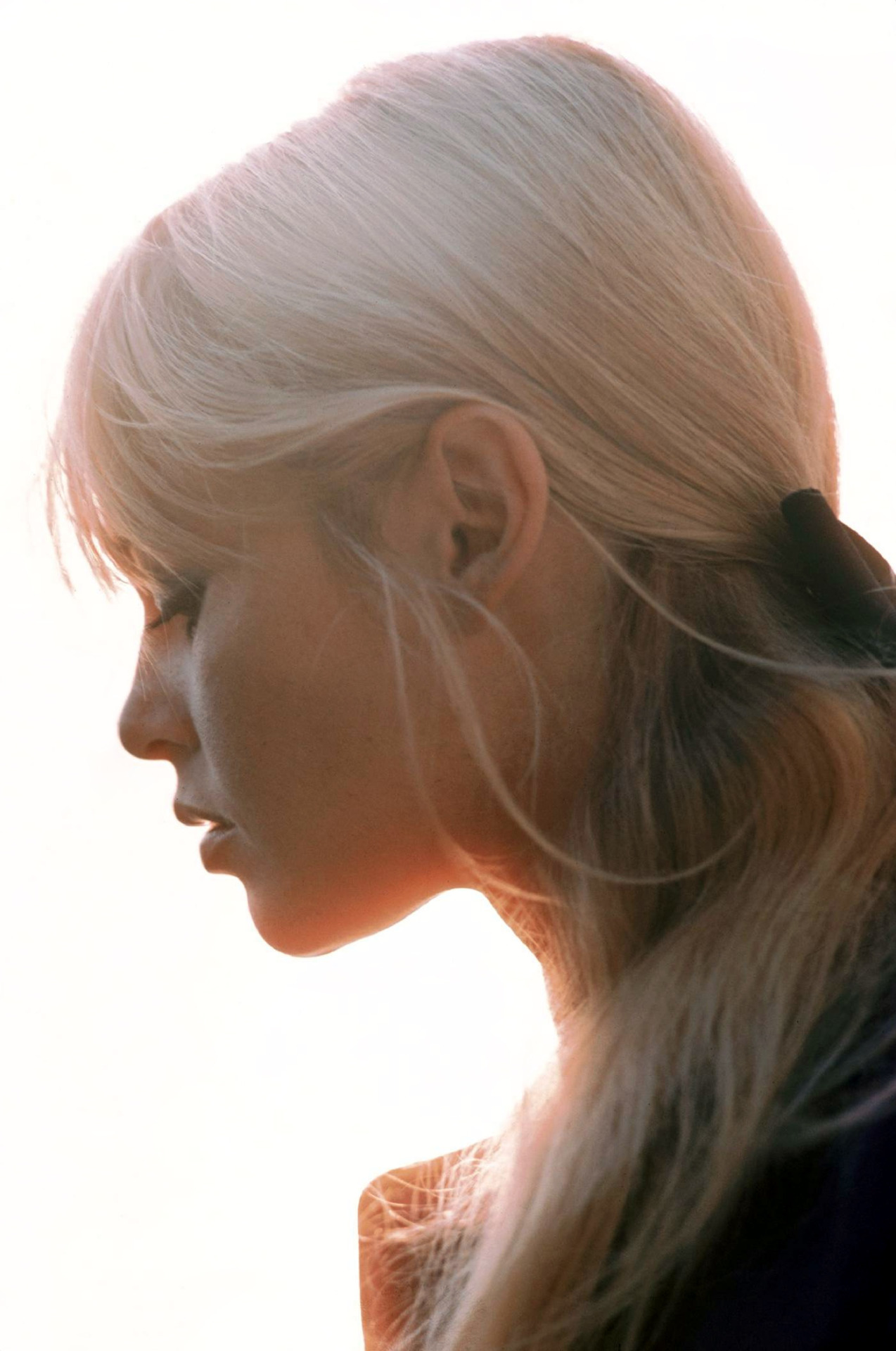 olivier-serrano:  Brigitte Bardot 