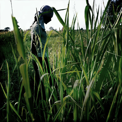 5centsapound:Laura El-Tantawy: The Place (India), from ‘I’ll Die for You: Exploring the intimate bon