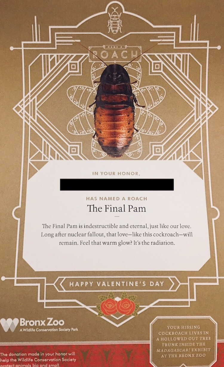 minieral: This past Valentine’s Day, a cockroach at the Bronx Zoo was named The