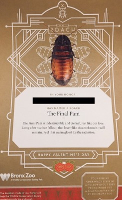 Minieral: This Past Valentine’s Day, A Cockroach At The Bronx Zoo Was Named The