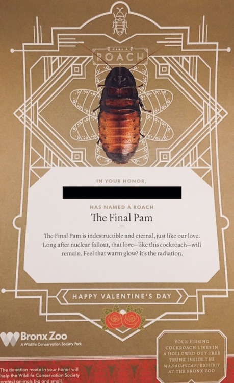 minieral: This past Valentine’s Day, a porn pictures