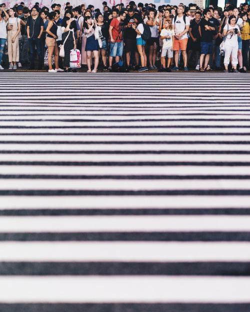 japanpix:Shibuya Crossing, Tokyo