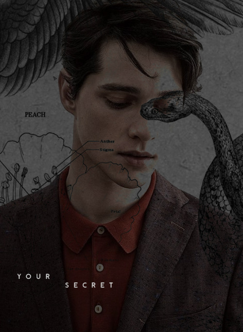 library-mermaid:regulus . arcturus . black • “To the Dark Lord…” (more HP edits) 