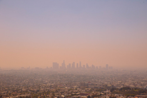 pantone:Los Angeles by Rebecca Dale