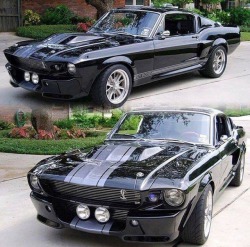 musclecars4ever