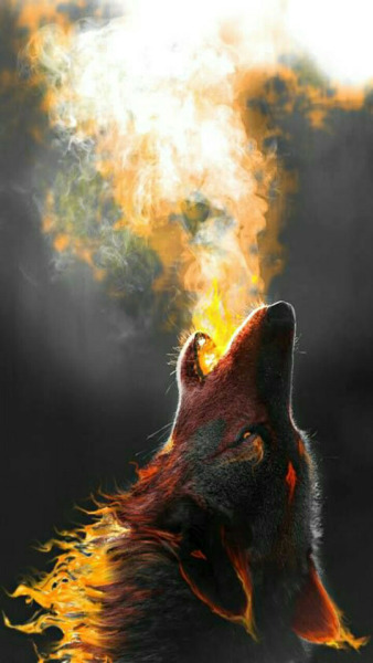 system-on-fire.tumblr.com - Tumbex