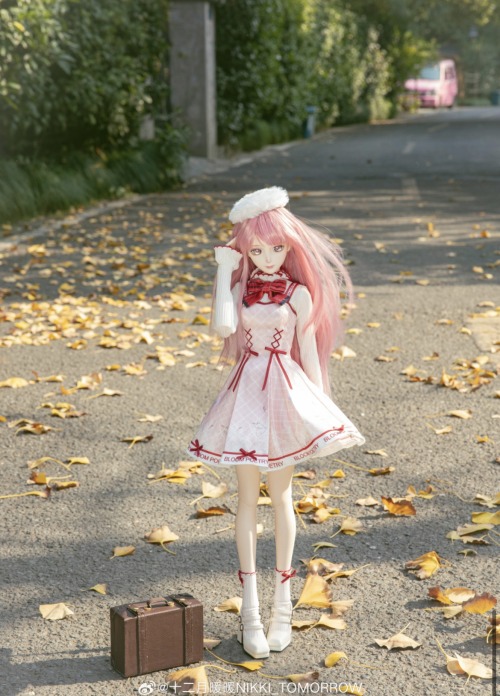Nikki BJD From Lottery