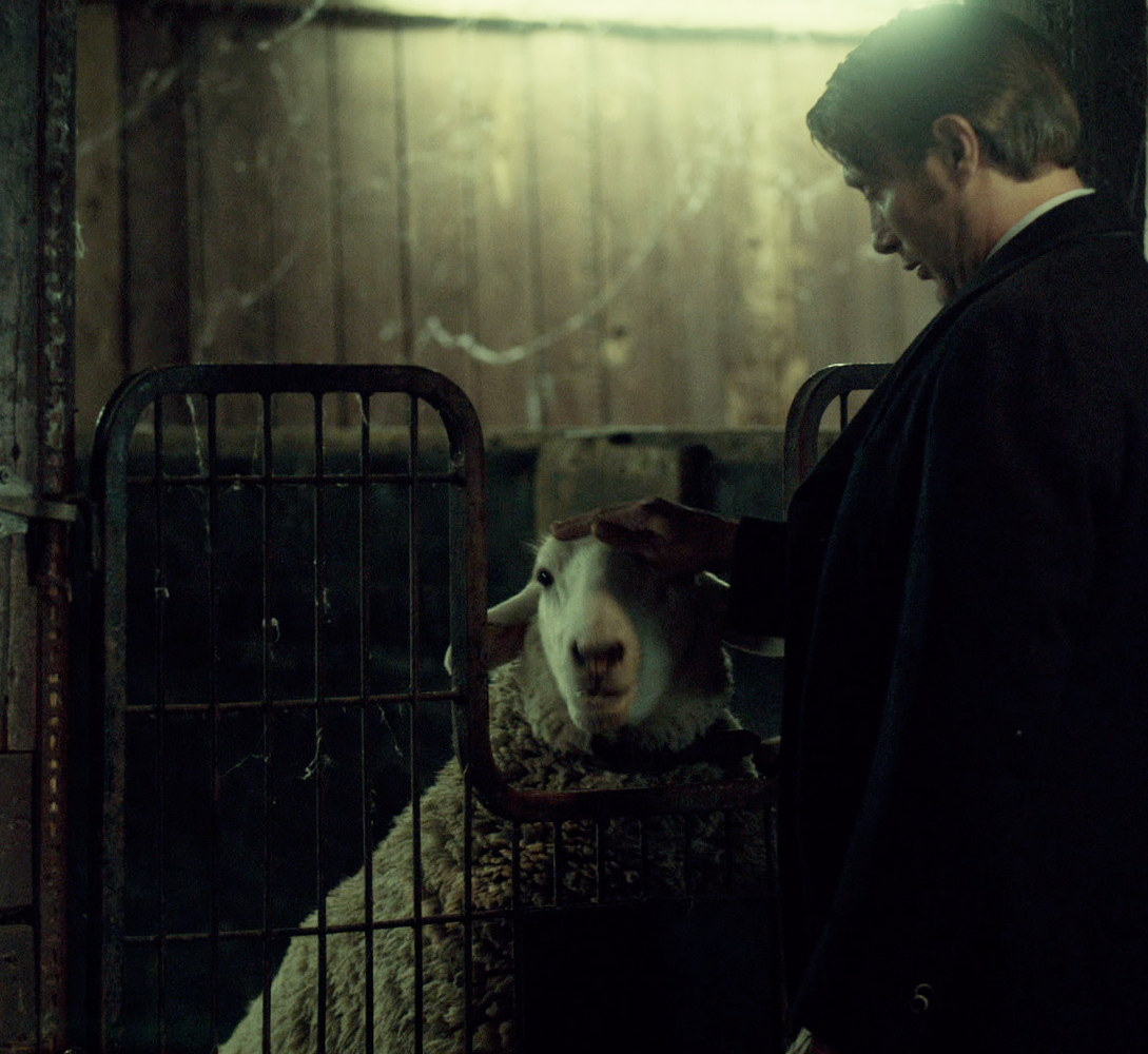 nbchannibal:  A starling? Quiet sheep? *skeptically glares at Bryan Fuller*