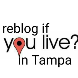 puuurrrr33756:  nwtpanole:  justacoupleblogging:  mrislandguy:  heheavy:Tampa freaks was up?  Tampa Florida  Just moved. Ocala now  Carrollwood/Citrus Park area  Tampa, St. Pete, Clearwater Heyyyyy  T-town