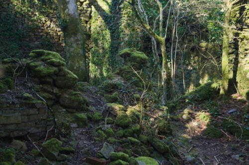 celticforestwitch: derelict cottage on Dartmoor ~