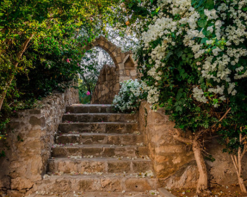 estrellita67:Stairway to Pure Peace