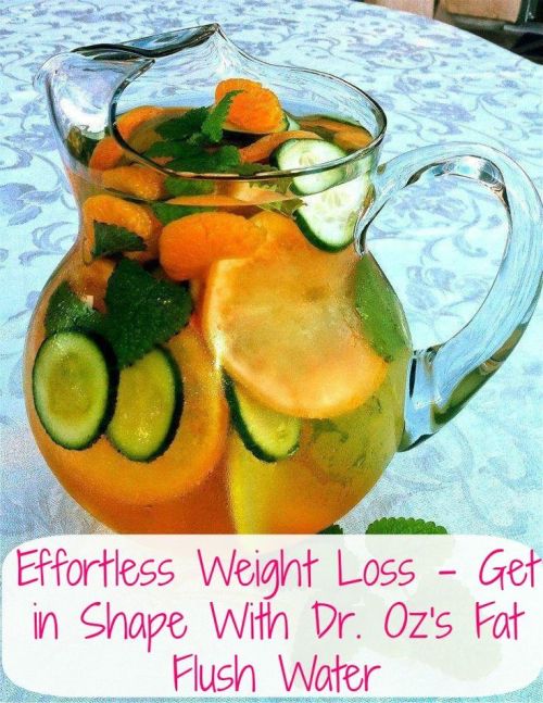 diet tips, diet plan dietingdigest.com/