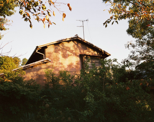 Sunset in the foothills of Kyoto, Japan.photo : @xshaydx