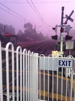sdaud:  It was foggy at the station this morning. 