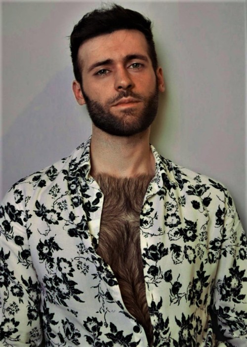 Hairy Dudes &Amp; Company