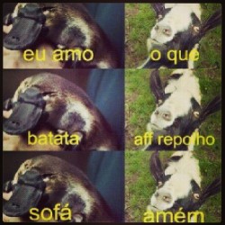 morri #morta #me #like