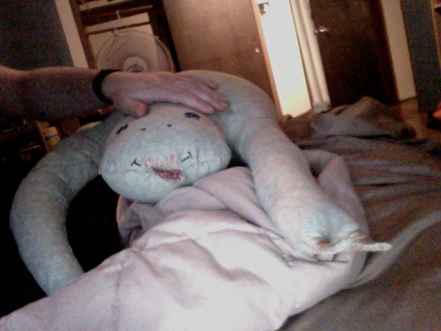 bonesofbirch:  Our sloth family. Michael and I were adorable and got each other sloths