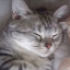 lilliahhhh-blog