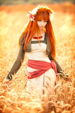 cosplaygirl:  Holo In The Field by Vesta777 on deviantART