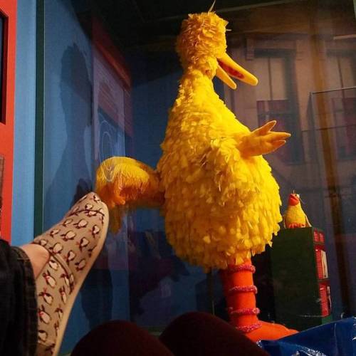 Hanging out in our happy place. @ctr_puppetry_arts #bigbird #centerforpuppetryarts #atlanta (at Cent