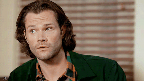 Gif made by @jarpadandjensens“Oh, come on Sam! Everything will be fine!”“Sure Y/N. I trust you.”“But