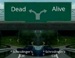 neighborhoodmemes:Schrodinger’s meme, both