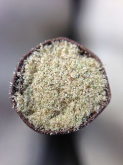 4master2chief0:  r-trees:  Kief Blunt  That