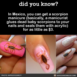 did-you-kno:  In Mexico, you can get a scorpion